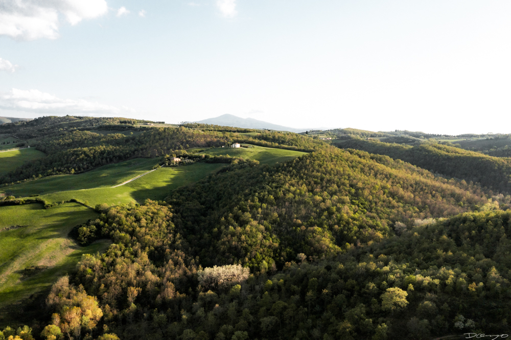 Photos from Florence, Lupaia in Tuscany, and Cinque Terre in Spring of 2022.